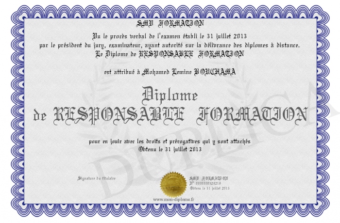 diplome responsable formation